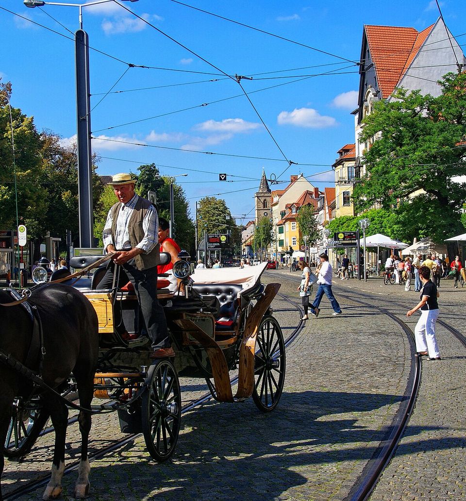 Erfurt - Domplatz - View NNW